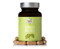 Kapsle Ginkgo Biloba