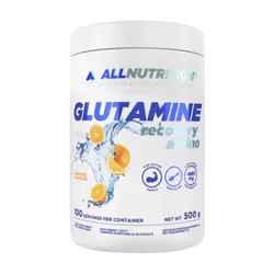 AllNutrition Glutamine Recovery Amino, 500 g